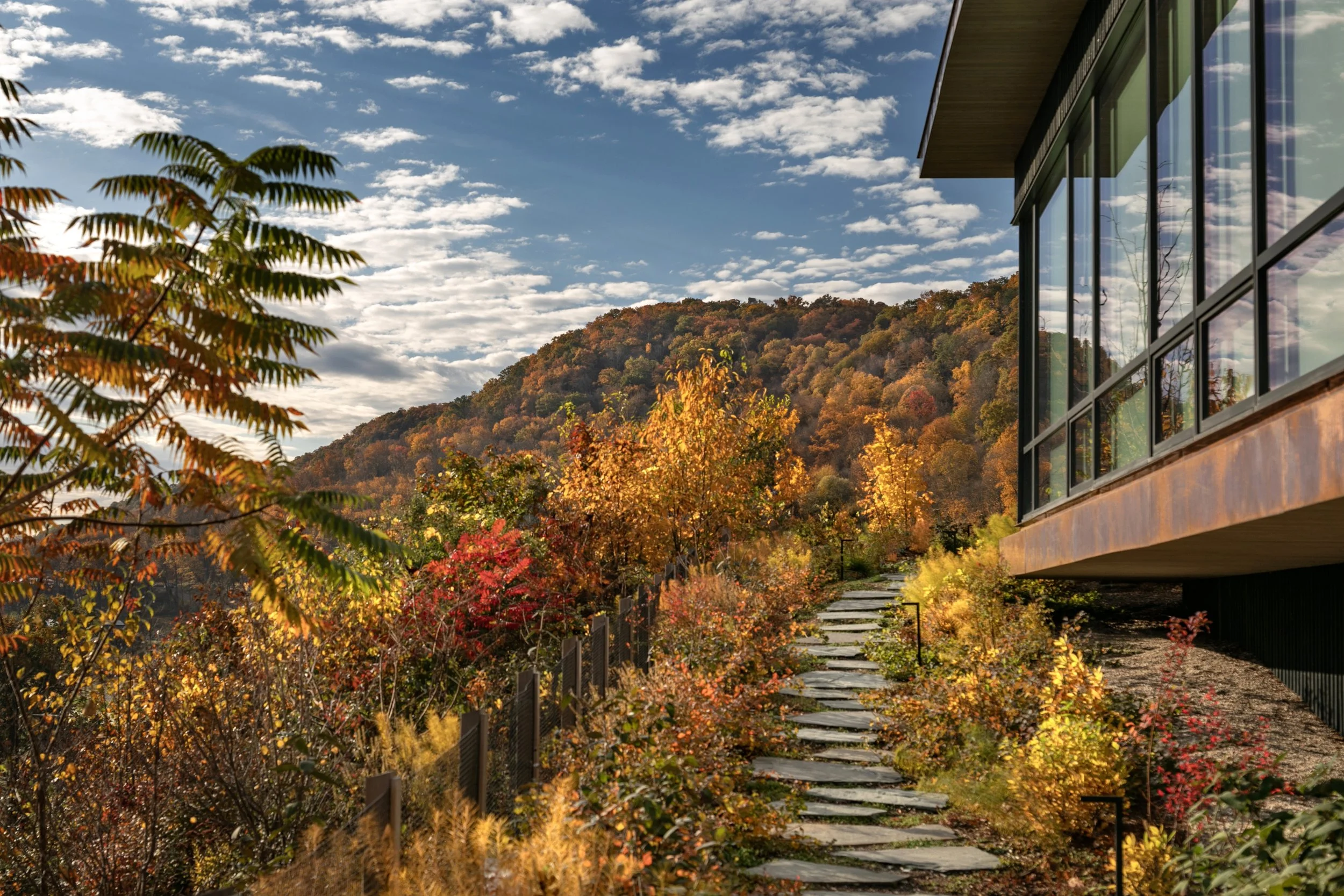 Hillside Retreat — STEVEN YAVANIAN LANDSCAPE ARCHITECTURE